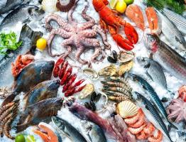 Дары моря и беременность: можно ли кушать икру, креветки и мидии
