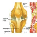 膝穿刺の準備と特徴 膝関節位置の穿刺