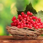 Viburnum: ieguvumi un kaitējums veselībai - sarkanās viburnum ogas, sula, ievārījums, augļu dzēriens Viburnum sulas priekšrocības