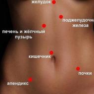女性の下腹部の鋭い痛み：種類、原因、症状