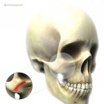 顎の下で何が痛みを引き起こす可能性がありますか？