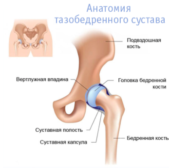 bokaízület artrózisa 3 fokos kezelés könyökfájdalomcsillapítók