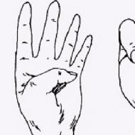Šta znači palcem?