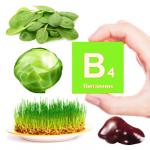 B4 vitamīns (holīns) - kas tas ir un kuri pārtikas produkti satur vairāk Vitamīni intelektam ar holīnu un luteīnu