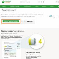 Sberbank hiteltörténete: online ellenőrzés - ingyenes hitelkérelem kérése a Sberbankban