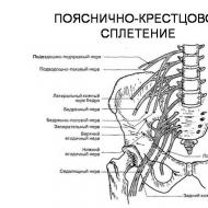 Simptomi gūžas kaula nervu