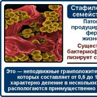 男性の細菌性前立腺炎