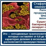 Bakterijski prostatitis kod muškaraca