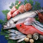 शरीर के लिए मछली के फायदे