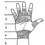 Az ujjak flexor inak elsődleges károsodása