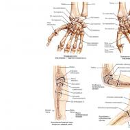 Tretman sezamoidne kosti zgloba kolena