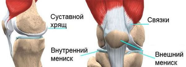 a bokaízület deformáló artrózisa 2 fokkal)