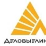 Fali Lemax PRIME-V24 gázkazán Szállítás a Moszkvai Körúton kívül