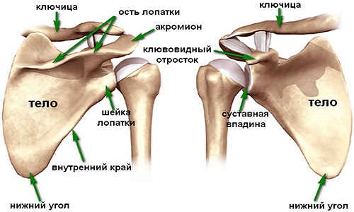 mi a könyökízület artrózisának kezelése)