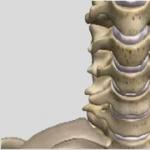 脊椎の様々な疾患の症状および治療方法
